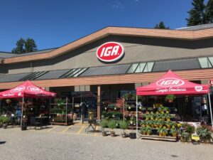 Iga job offers
