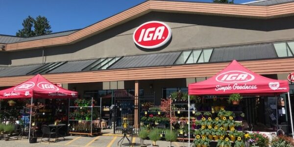 Iga job offers